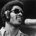 Disco Fever, Funky Endeavors, and Soulful Splendors